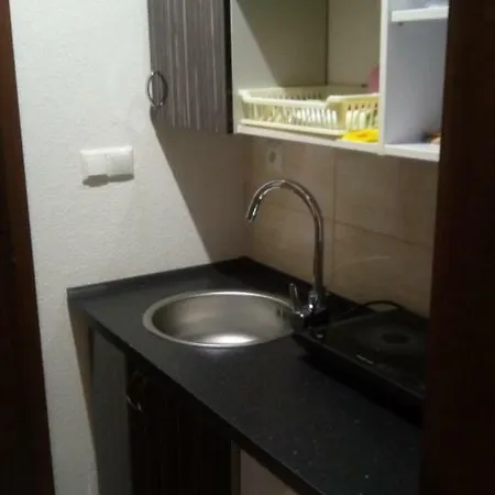 Ubytovanie V Utulnom Jednoizbovom Byte Homestay *